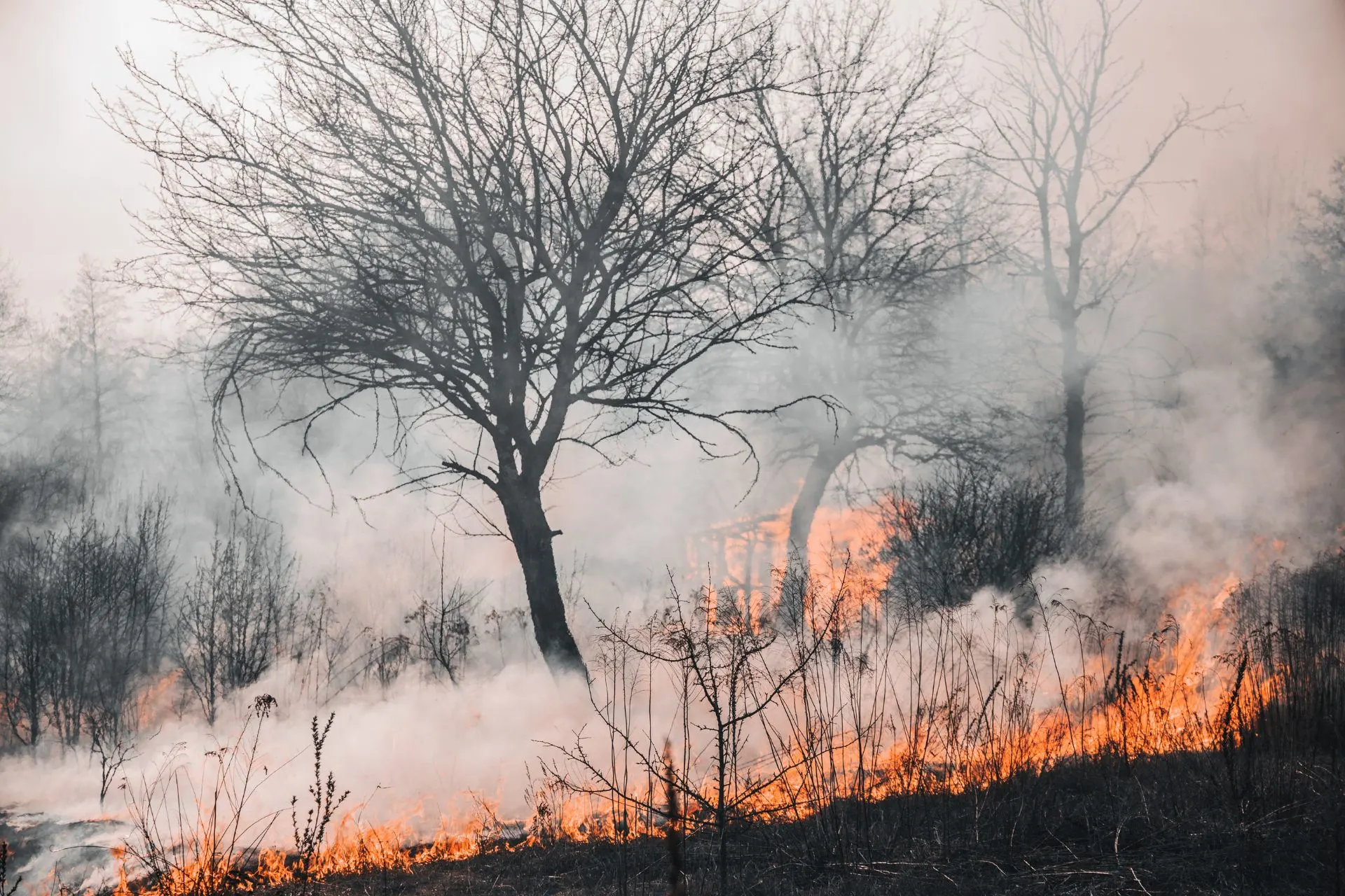 Canadian Wildfires And Air Quality - LG Home Comfort