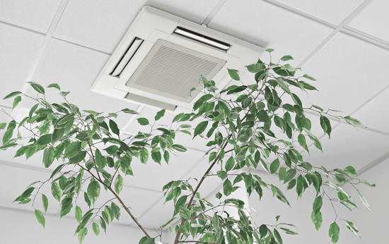 Improving indoor air quality with purification