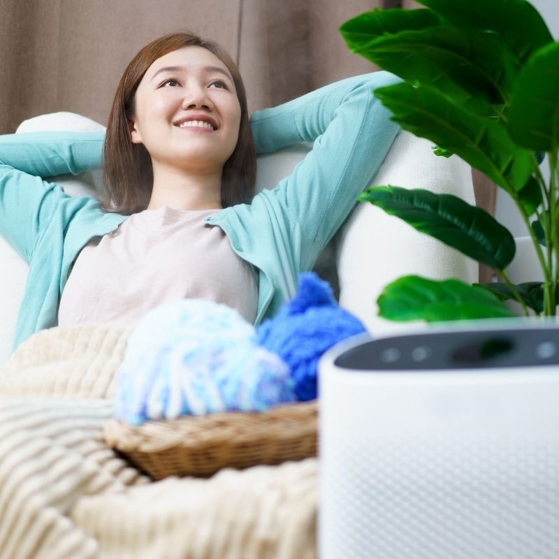 Air purification solutions by LG Home Comfort ensure healthier air in Parry Sound and Muskoka homes