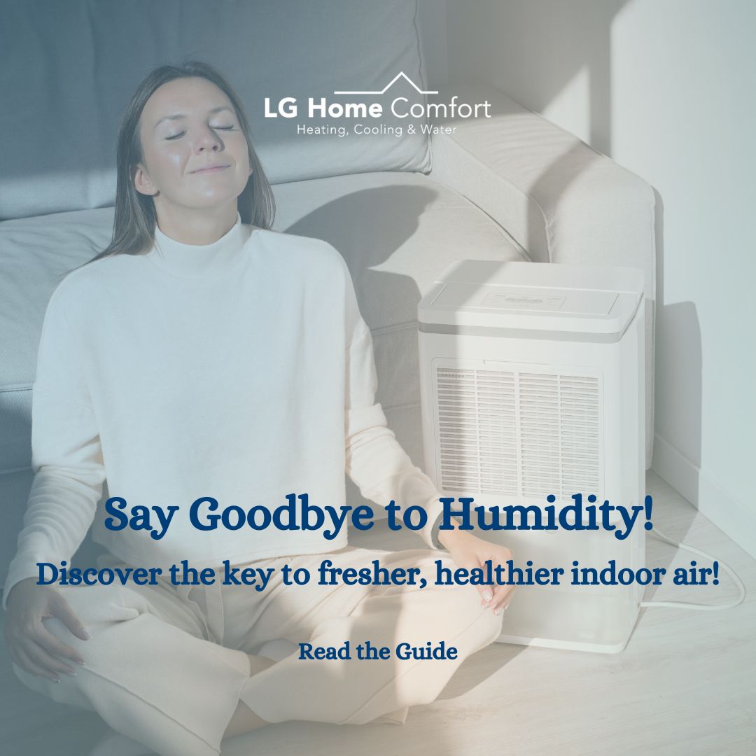 The Ultimate Guide to Dehumidifiers for Ontario Residents